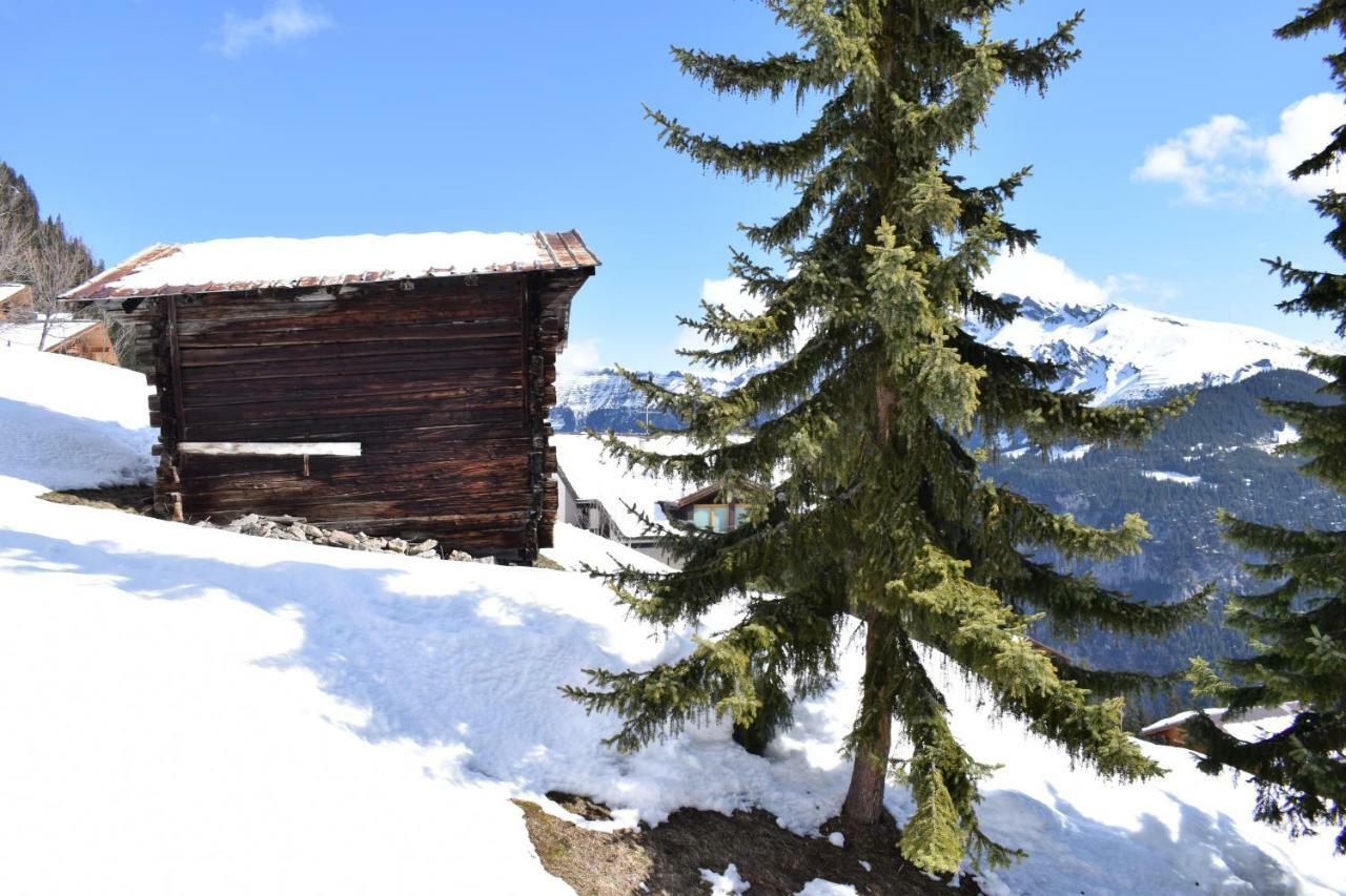 Sportlodge Muerren Zewnętrze zdjęcie