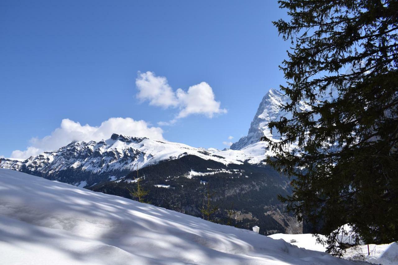 Sportlodge Muerren Zewnętrze zdjęcie